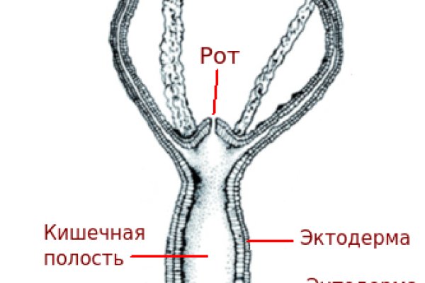 Кракен упал