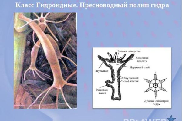 Действующие ссылки на кракен