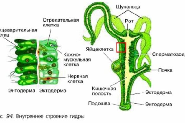 Кракен ссылка pw