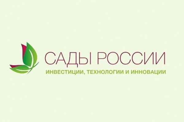 Официальный сайт даркнета