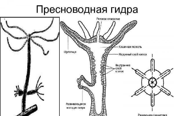 Нарко магазин кракен