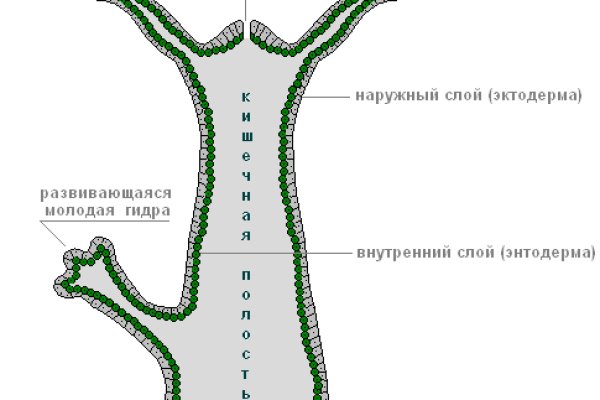 Кракен через тор браузер